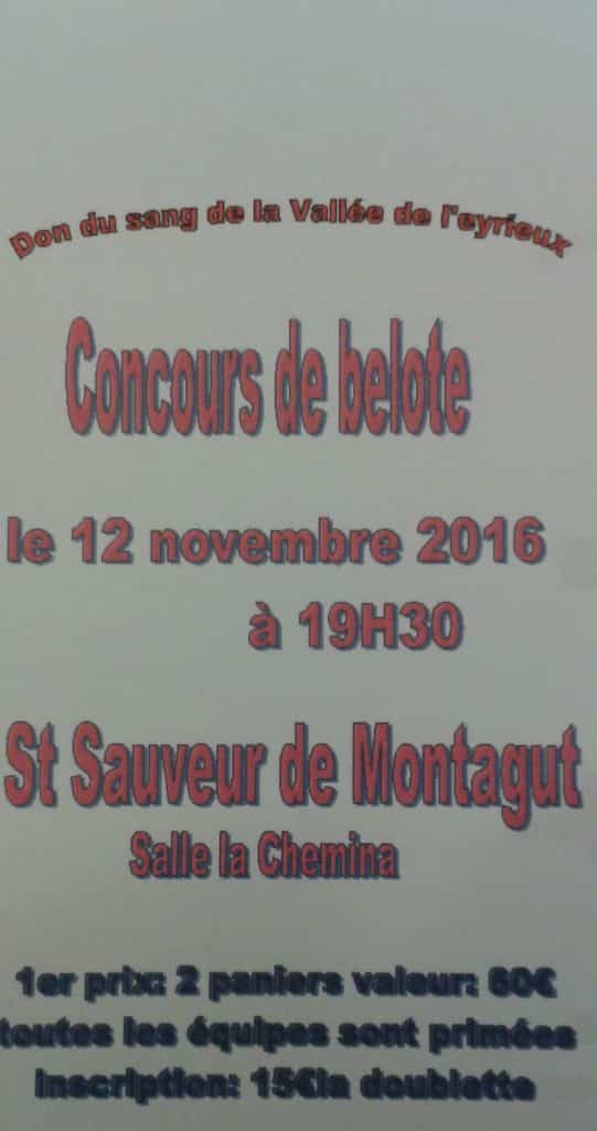 Tournoi belote 12 novembre 2016 à Saint Sauveur de Montagut - 07